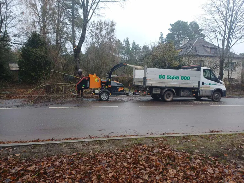 Šakų smulkinimas smulkintuvu prie firminio sunkvežimio