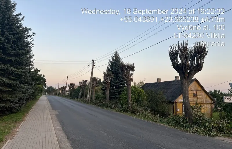 Genėtų liepų eilė palei kelią saulėlydžio metu
