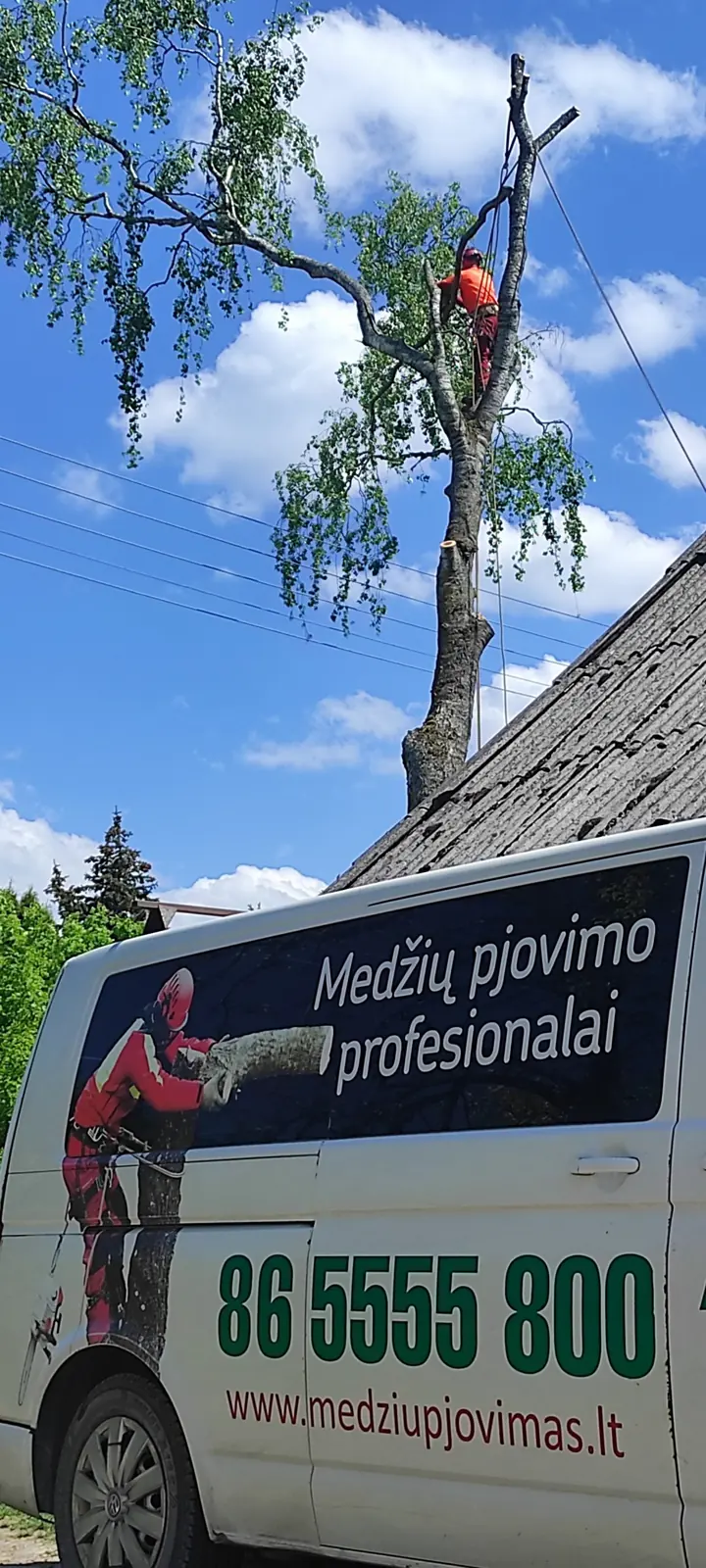 Beržo pjovimas prie namo stogo, firminis furgonas