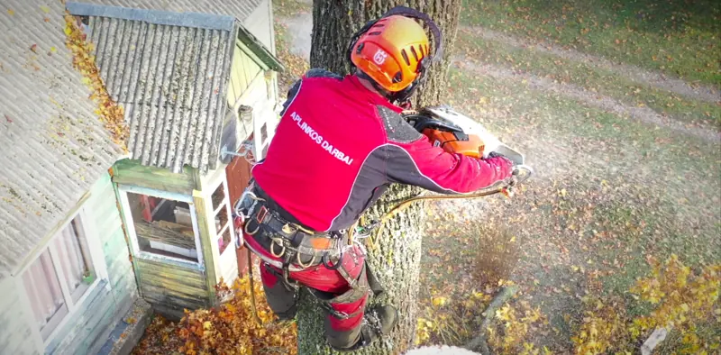 Arboristas pjauna medį virš namo – vaizdas iš viršaus